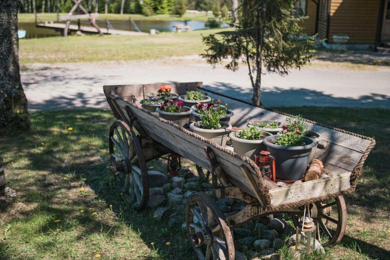 Tehumardi Camping Salme Eksteriør billede